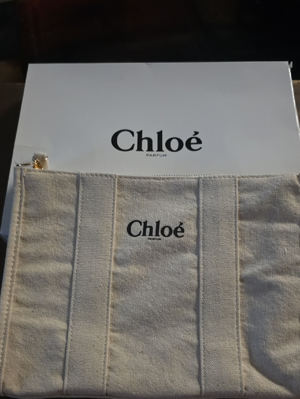 Chloé Canvas Pouch in Natural